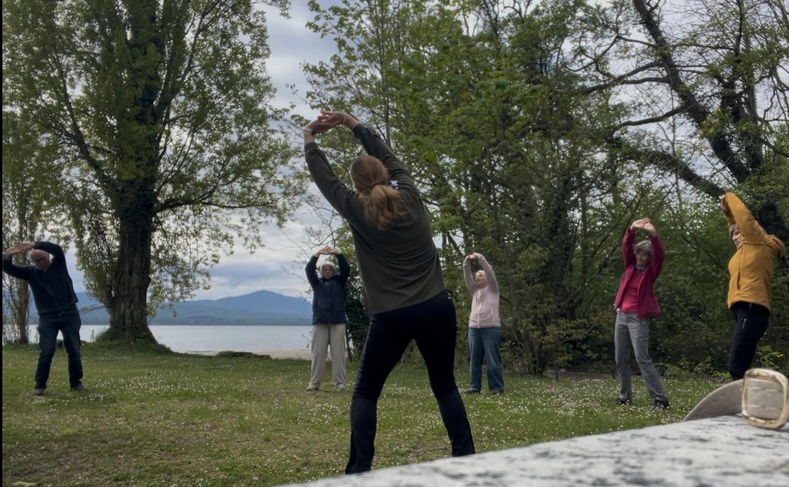 Medical QiGong in nature
